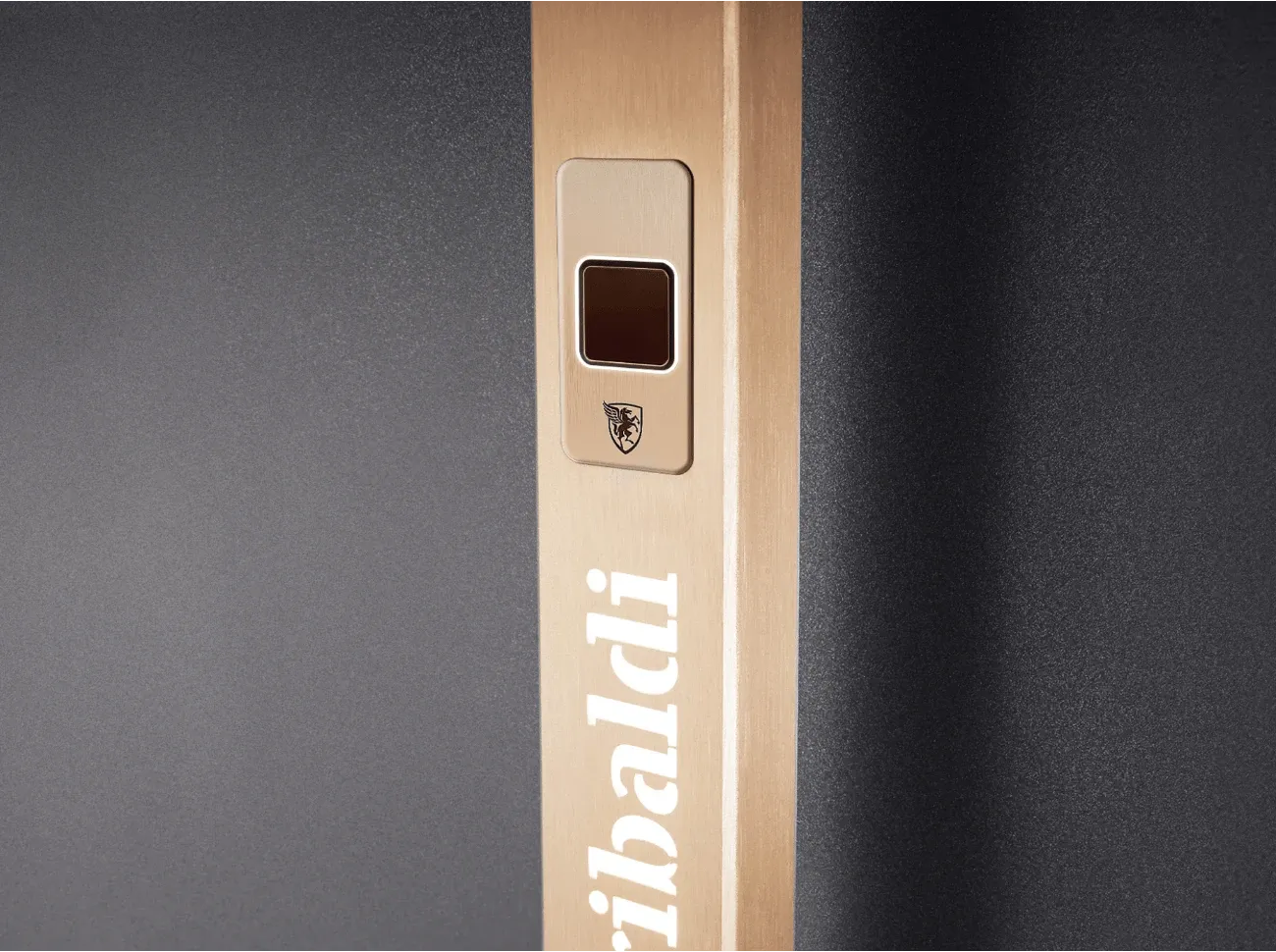 pivot-fingerscanner Hauseingangstür: Pivot Tür - Drehtür Holz Stahl Aluminium